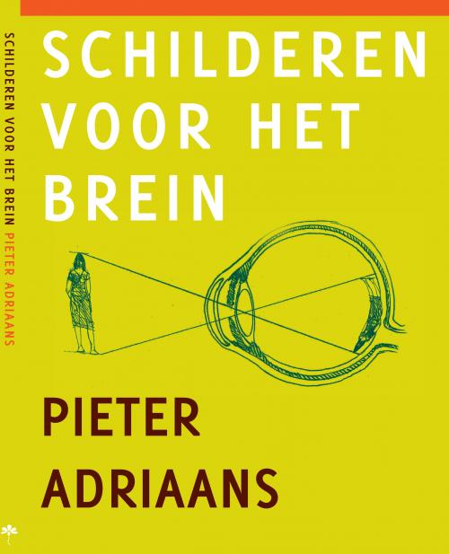 Omslag Boek Schilderen voor het brein