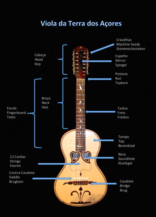 Viola da Terra