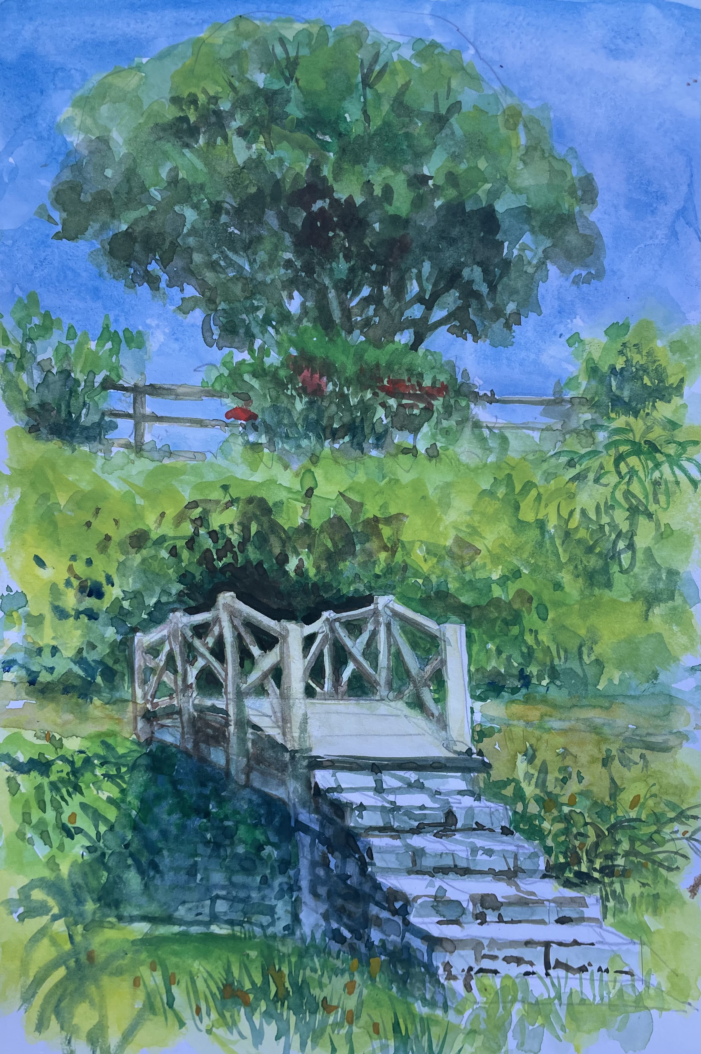 Bridge in park at Lajes das Flores 