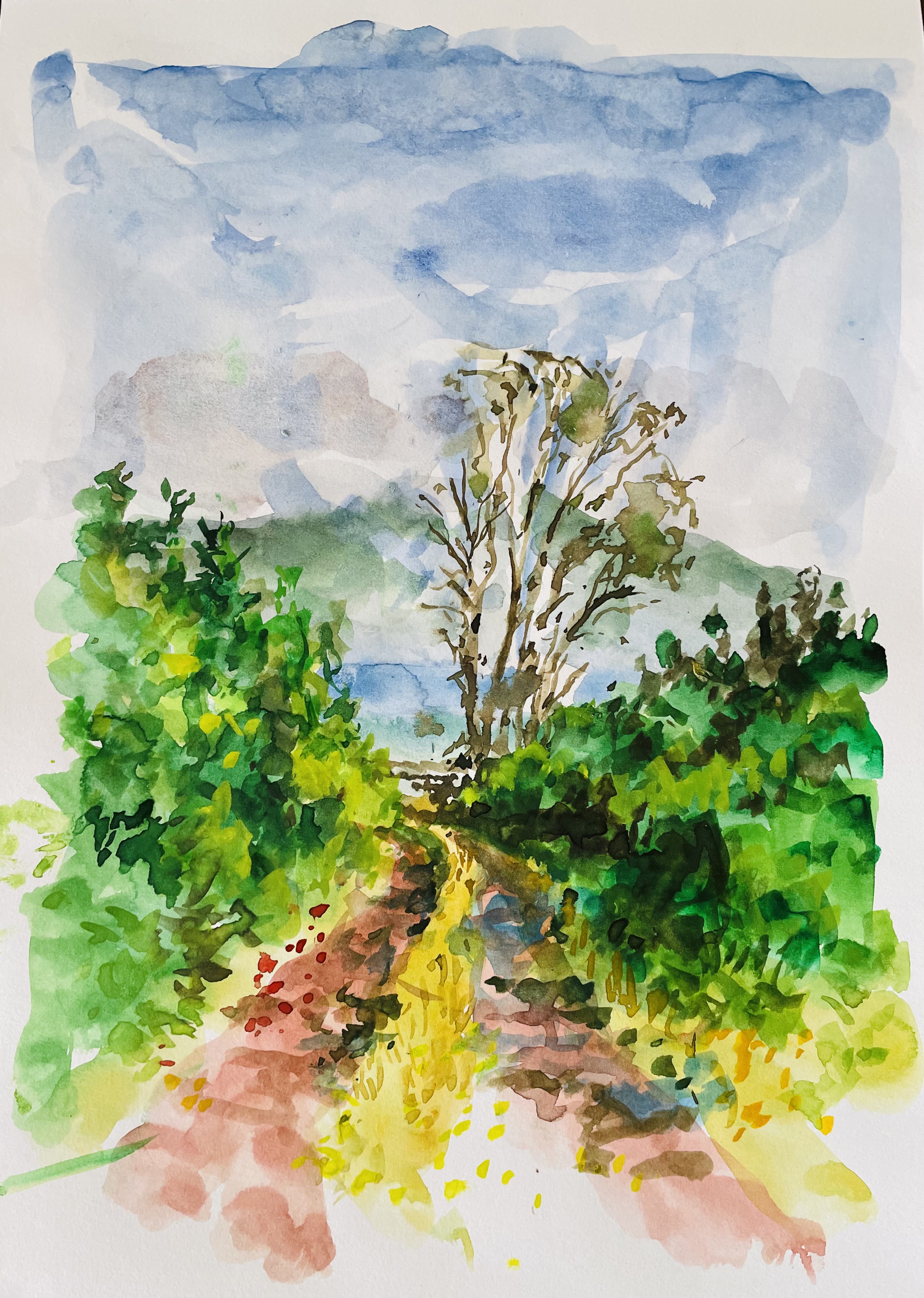 View of Faial from Pico