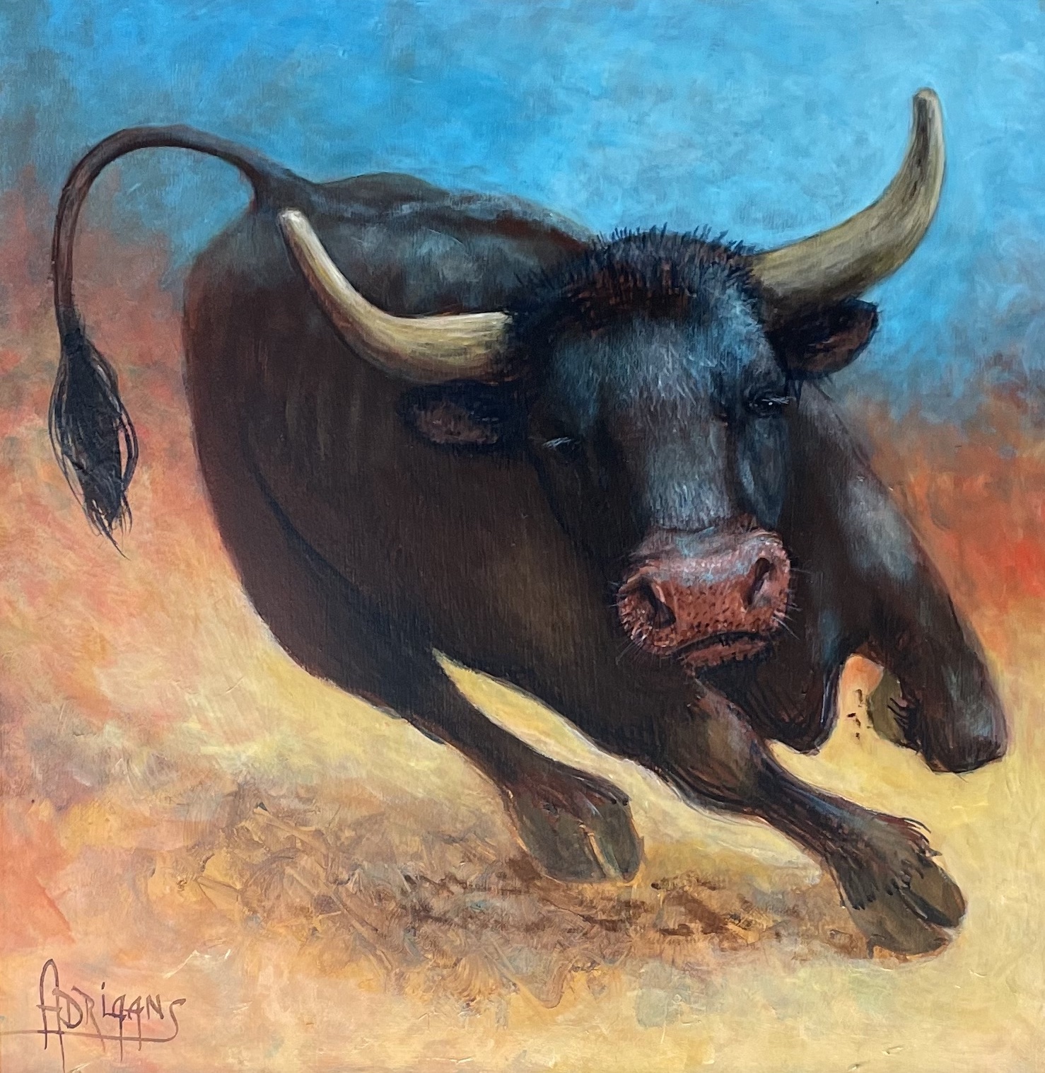 Study of attacking bull 