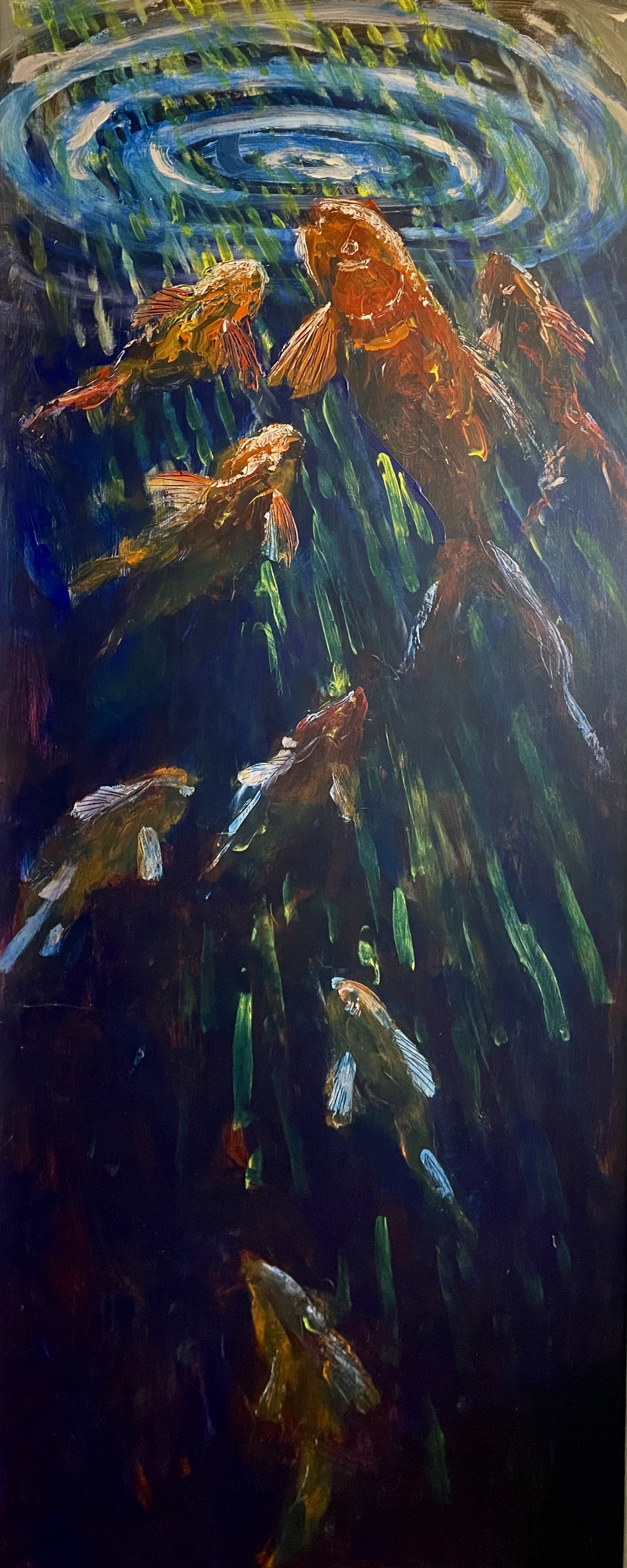 Fish swimming to the surface 