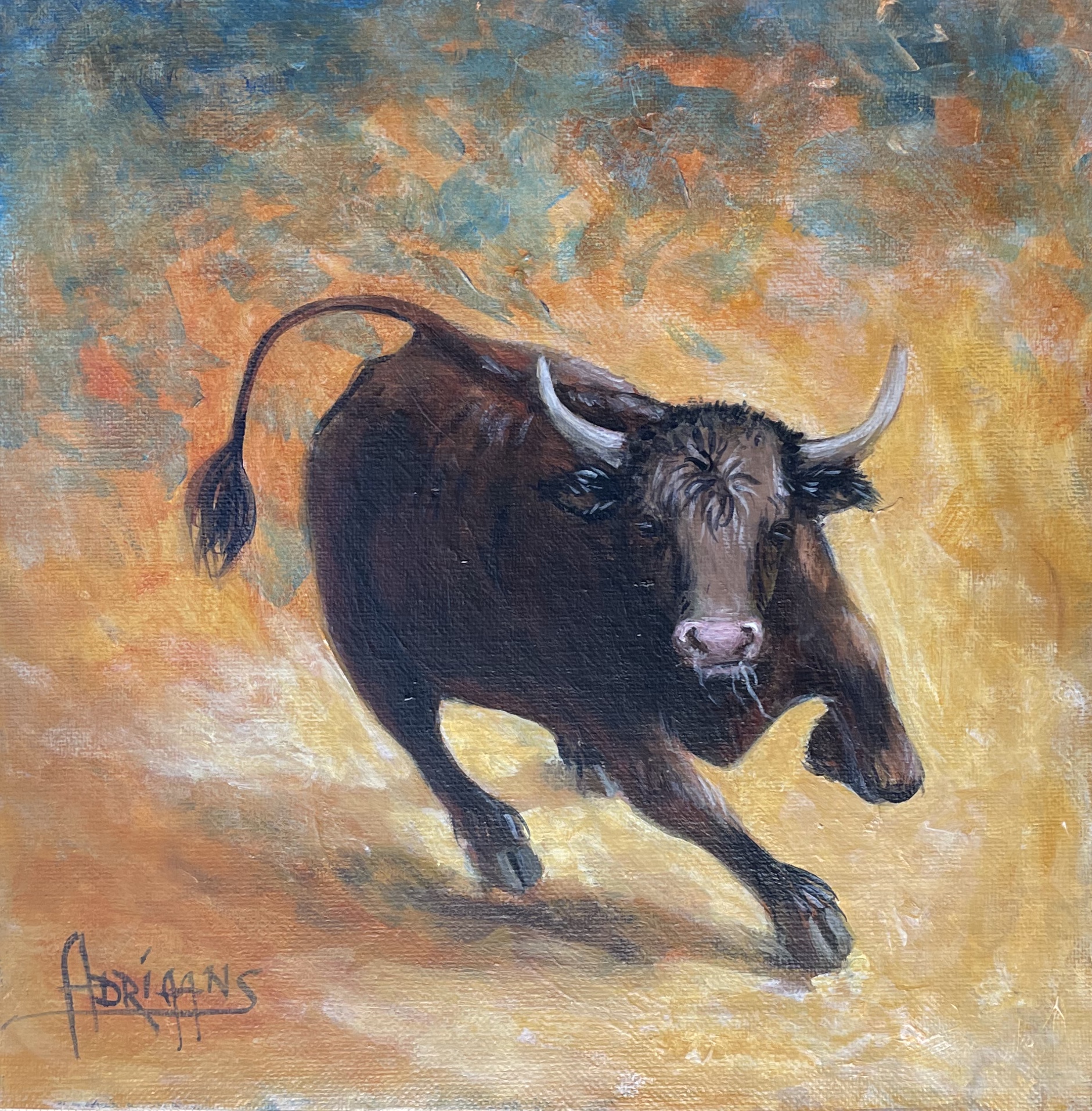 Study of bull
