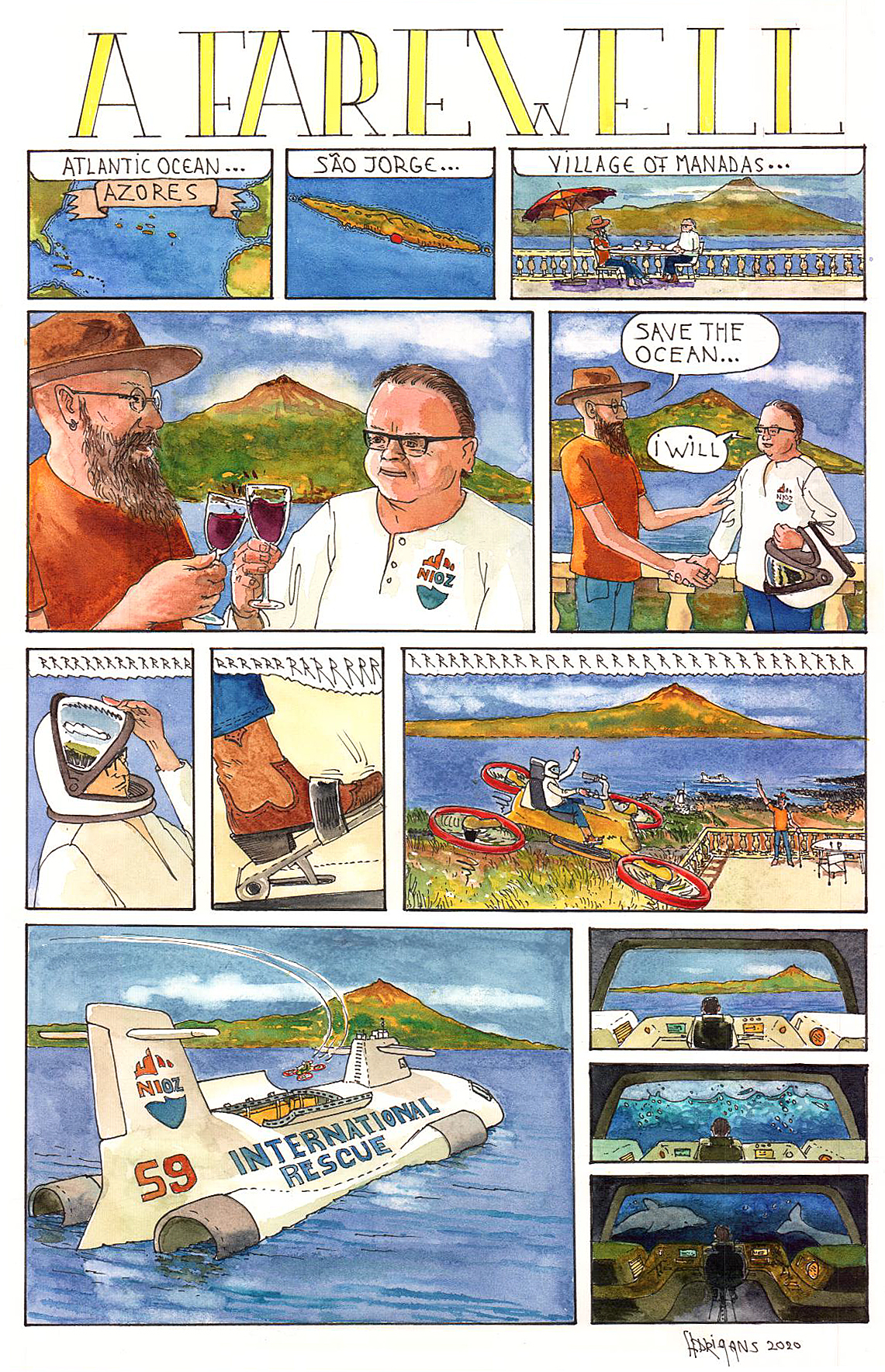 Cartoon for the retirement of Ewout Adriaans from the NIOZ