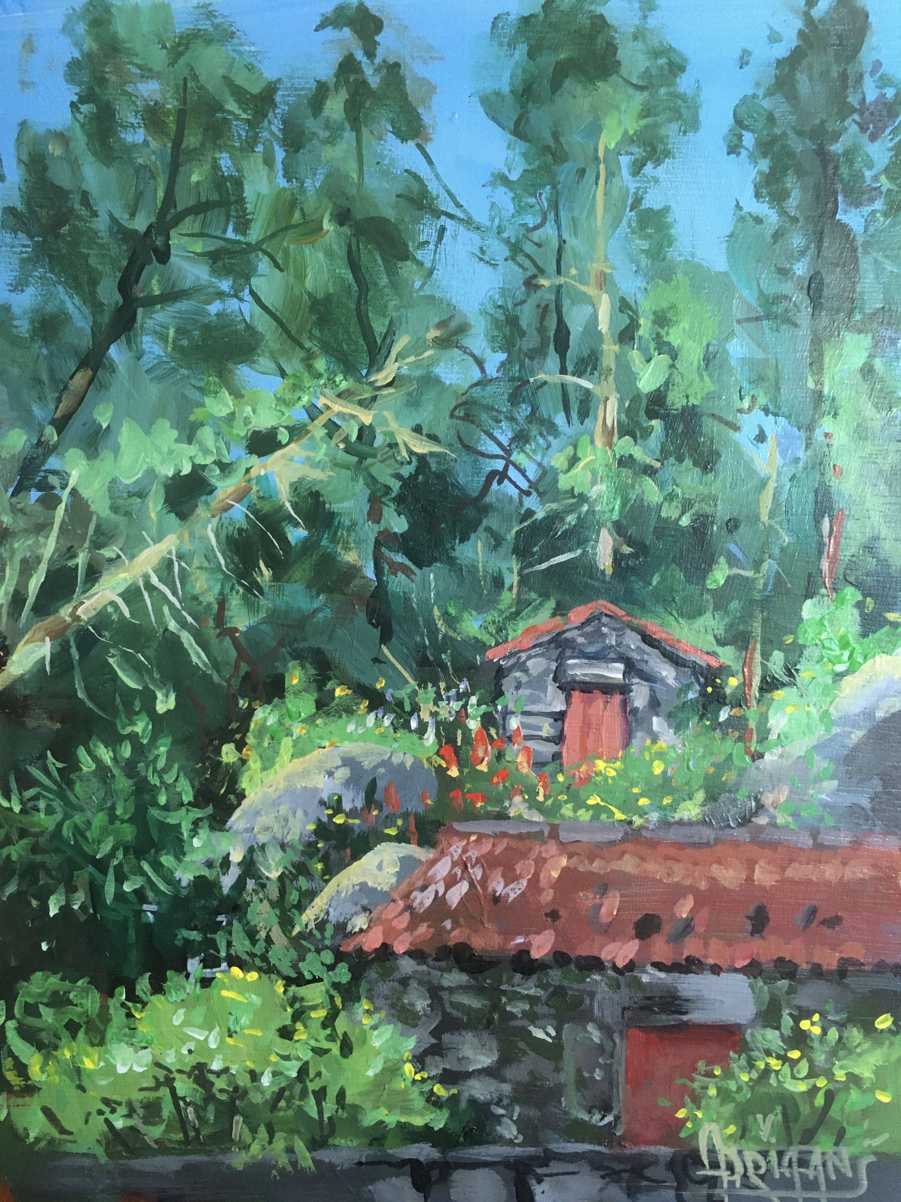 Watermil on the road to Fajã dos Vimes 